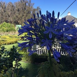 Meet your Posher, Bri